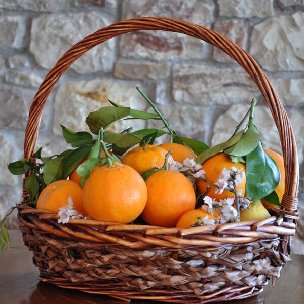 basket_fruit_oranges