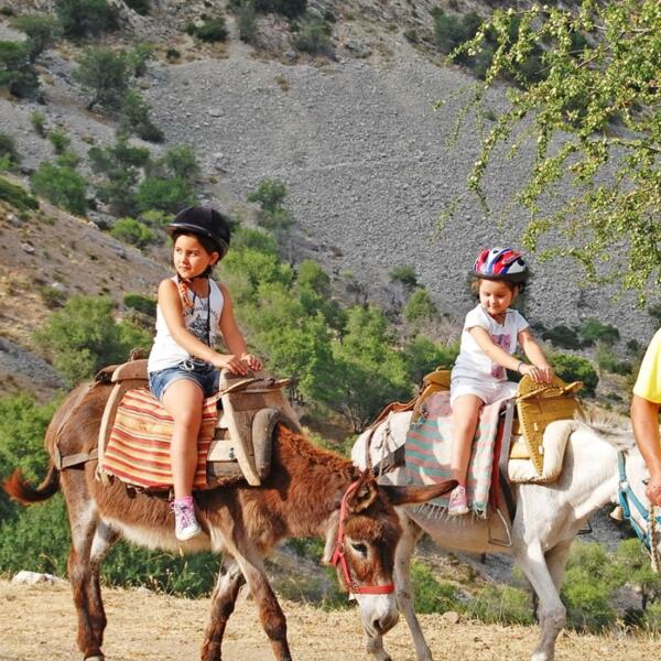 donkey_riding